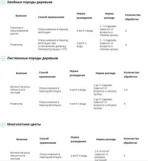 Ракурс (Август), 48 мл - картинка 2