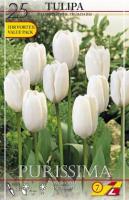 Тюльпан Пуриссима (Purissima), 25 шт (разбор 11/12)